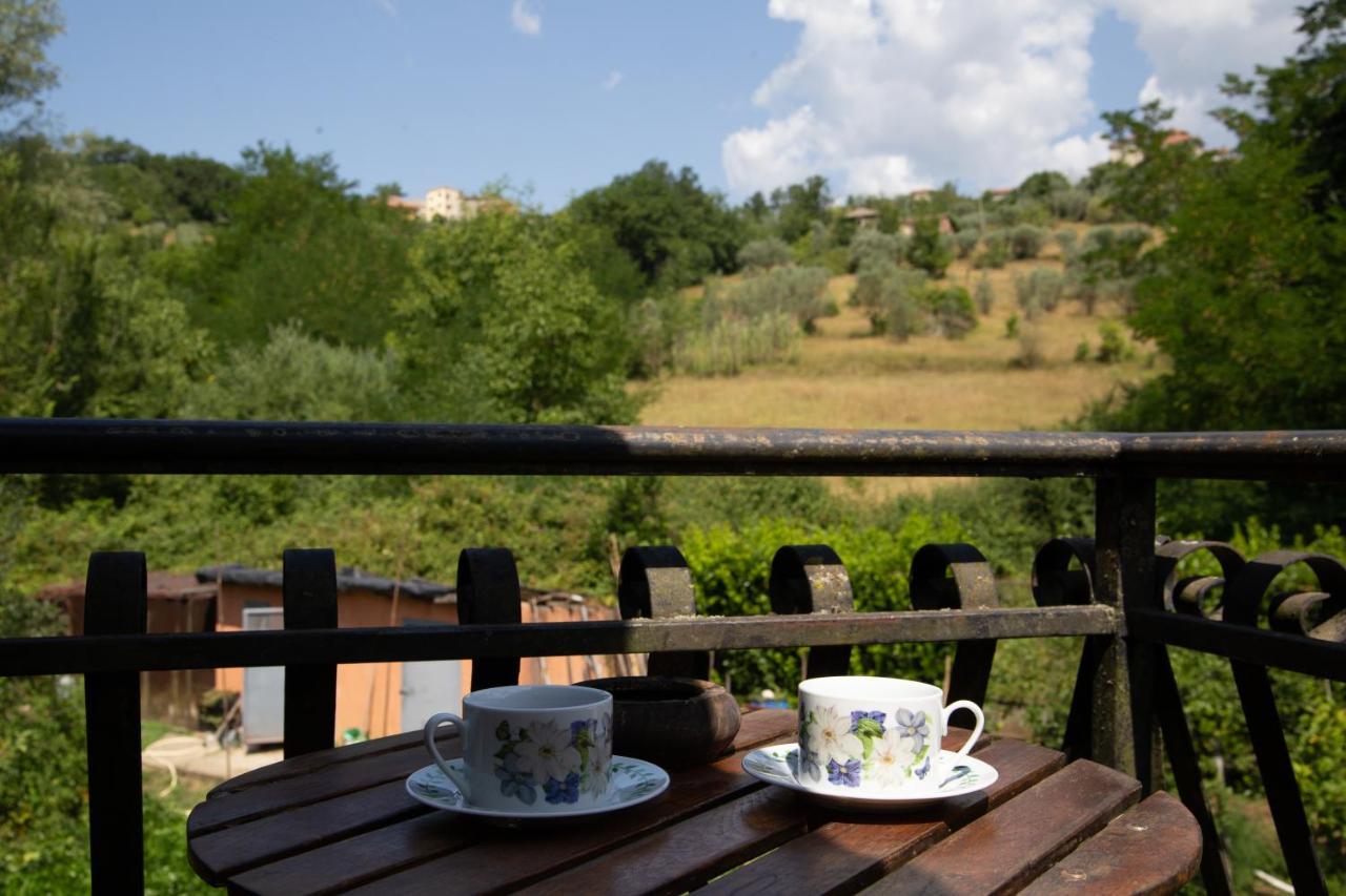 B&B Villa Il Noce Picinisco Екстериор снимка